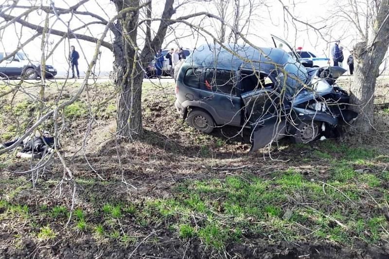 В Краснодарском крае 43-летний водитель «Шевроле Нива» погиб, врезавшись в дерево