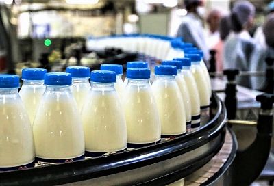 На производство молока из бюджета Краснодарского края направят более 1 млрд рублей 