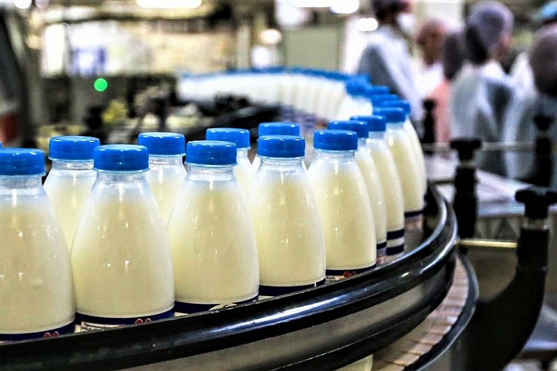 На производство молока из бюджета Краснодарского края направят более 1 млрд рублей 
