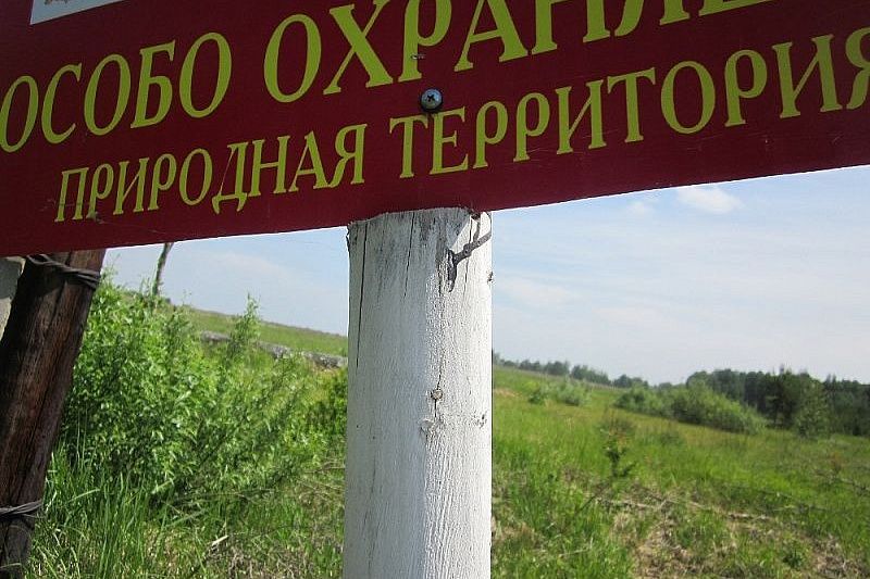 Почти все зеленые зоны поставлены на кадастровый учет в Краснодарском крае 