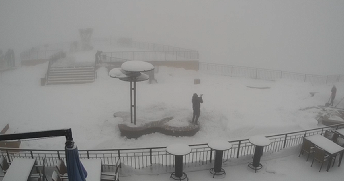 Ол стриптиз жасап, порно видео арқылы достарын азғырған. Алена Пискунның писығы