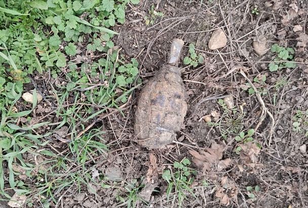 В Павловском районе на территории сахарного завода нашли гранату Ф-1 времен Великой Отечественной войны