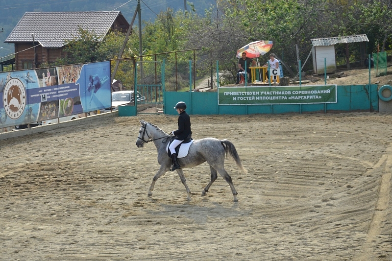 В Сочи пройдут соревнования по конному спорту для детей
