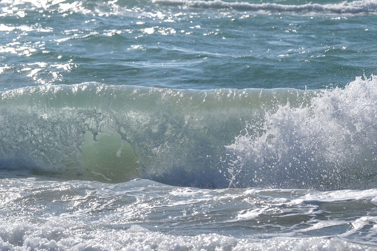 Черное море в Краснодарском крае теплее, чем в Крыму: ученые назвали причину