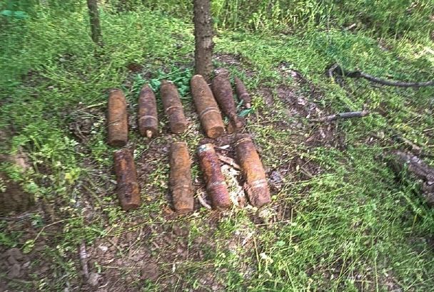Житель Кубани во время прогулки по лесу нашел 17 боеприпасов времен Великой Отечественной