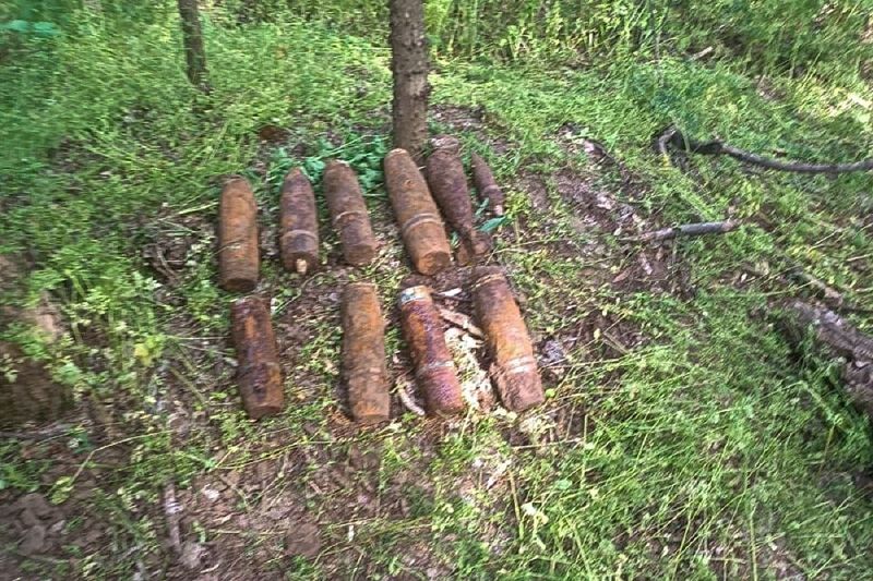 Житель Кубани во время прогулки по лесу нашел 17 боеприпасов времен Великой Отечественной
