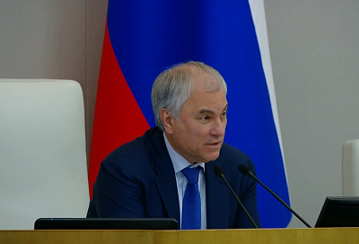 Володин назвал невежеством и воровством отличительные черты современных политиков ЕС