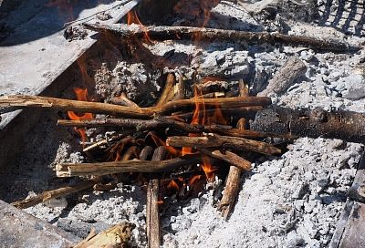 Овощи на огороде растут как на дрожжах, а ведь я всего лишь поливают из раствором из воды, золы и уксуса