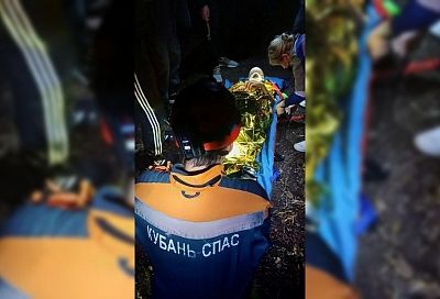 Спасатели 10 км транспортировали на носилках мужчину, придавленного деревом в лесу под Геленджиком