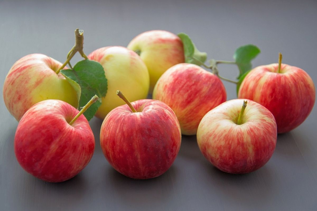 Оставьте яблоки врагам: диетолог предупредила об опасности несезонных овощей и фруктов