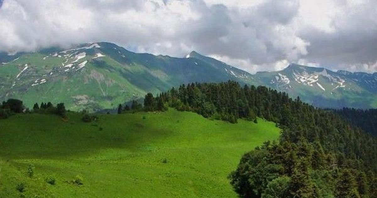 Сочинский заповедник. Кавказский биосферный заповедник Сочи. Сочинский национальный парк. Сочинский парк заповедник. Сочинский национальный парк горы.