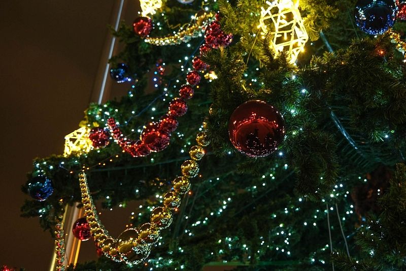 Как украсили главные новогодние елки в Краснодарском крае