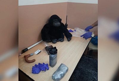 В Краснодарском крае полицейские нашли в багажнике иномарки детскую игрушку с героином