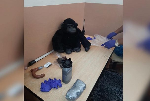 В Краснодарском крае полицейские нашли в багажнике иномарки детскую игрушку с героином