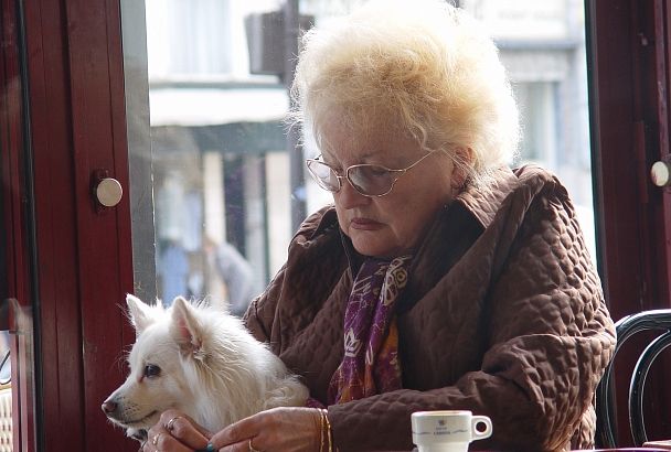 В Госдуму внесен проект о правилах посещения магазинов и кафе с животными
