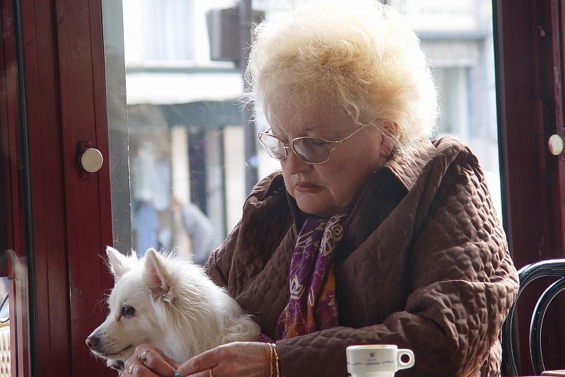 В Госдуму внесен проект о правилах посещения магазинов и кафе с животными