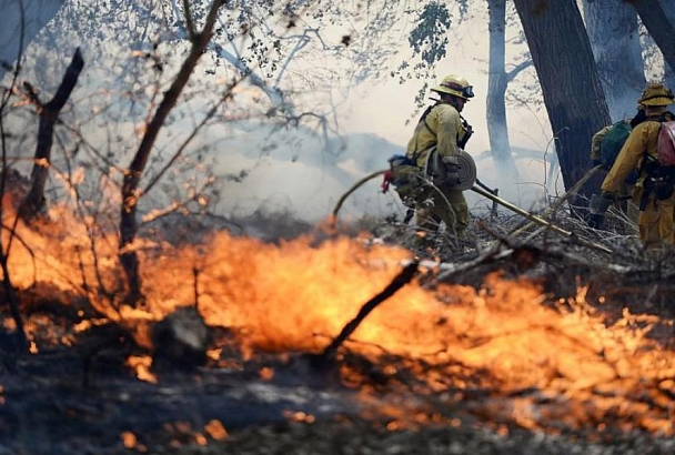 В лесах Краснодарского края с 4 ноября потушили 22 пожара общей площадью 109 га