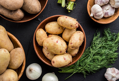 Россия впервые достигла самообеспеченности картофелем