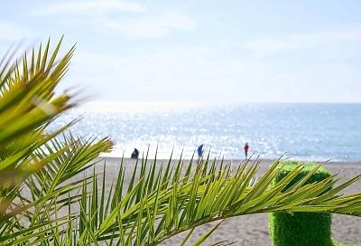 Пляжи в Сочи открыли для отдыхающих: вода в Черном море соответствует нормам