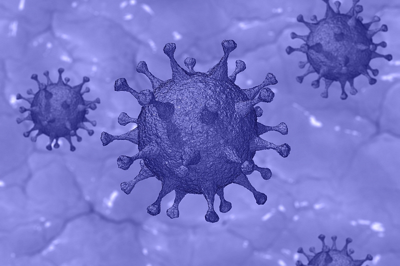 Доктор Мясников назвал уязвимые к коронавирусу группы людей и способы защиты
