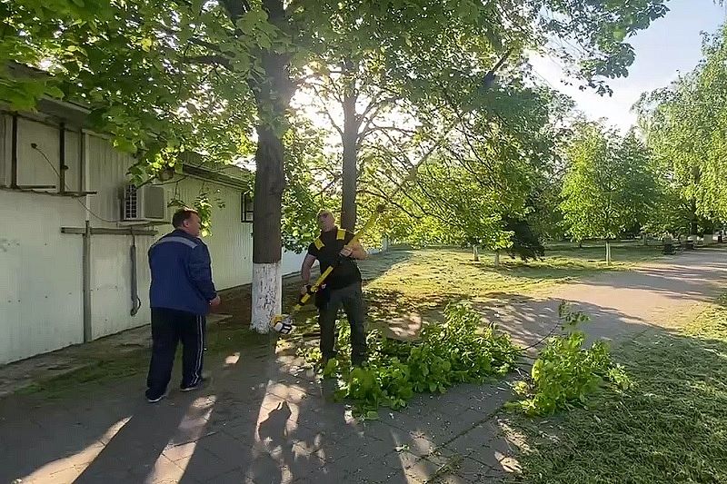 Мэр Тимашевска вышел в сквер на обрезку деревьев с триммером и бензопилой