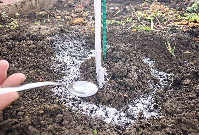 Удобрения, которые нельзя смешивать: 4 опасные пары для огорода