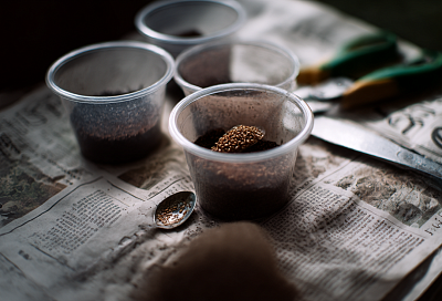 Удобрение для рассады своими руками: просто и дёшево