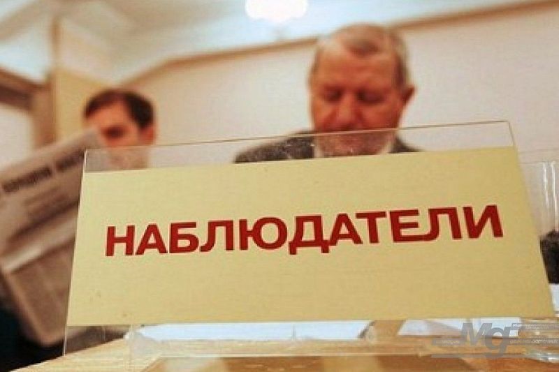 В Краснодарском крае наблюдатели готовятся к Единому дню голосования