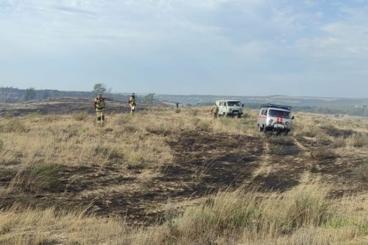 Площадь лесного пожара в Ростовской области увеличилась до 331 га