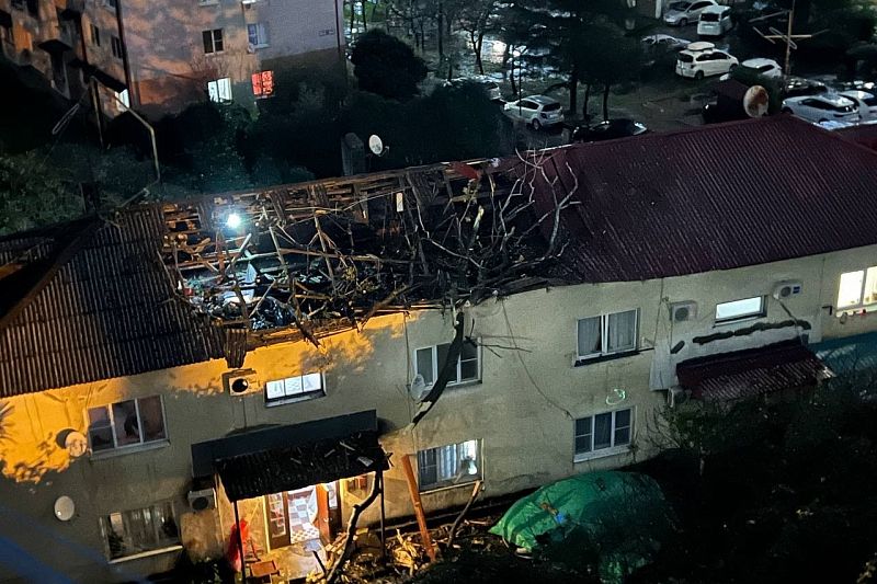 Повалены деревья, сорваны крыши: ураганный ветер обрушился на Сочи