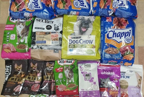 В Новороссийске молодоженам подарили 40 килограммов корма для животных