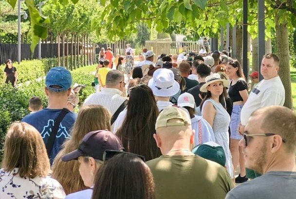 И в жару, и в холод: у входа в Японский сад Краснодара вновь выросла гигантская очередь 