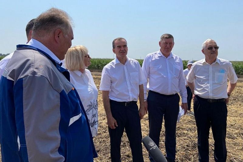 Более 40% озимой пшеницы убрали в Усть-Лабинском районе 