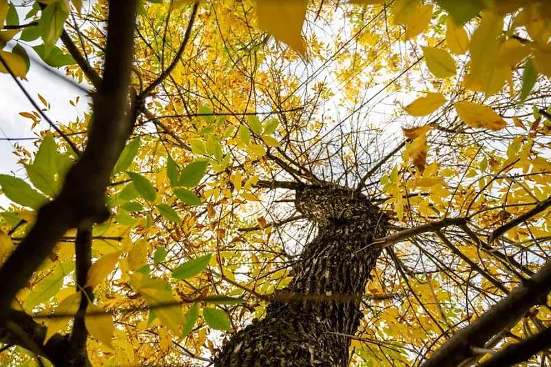 До +25 градусов резко прогреется воздух в Краснодарском крае: когда ...