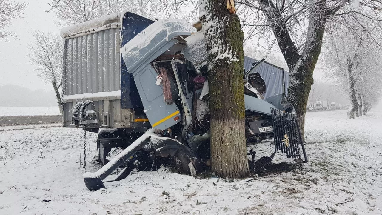 Водитель на МАЗе врезался в дерево и погиб в Краснодарском крае