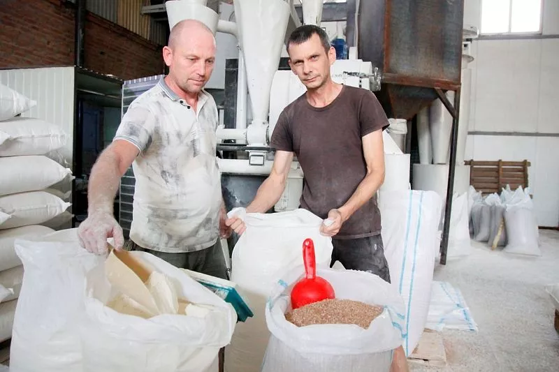 Работники мукомольного цеха многоотраслевого сельхозпредприятия из Новопокровского района перерабатывают выращенное на головном предприятии зерно.