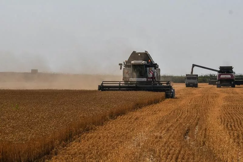 В России за год собрали почти 150 млн тонн зерна