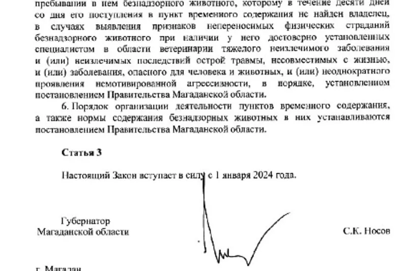 В Магаданской области разрешили убивать собак в приютах, если им не ...