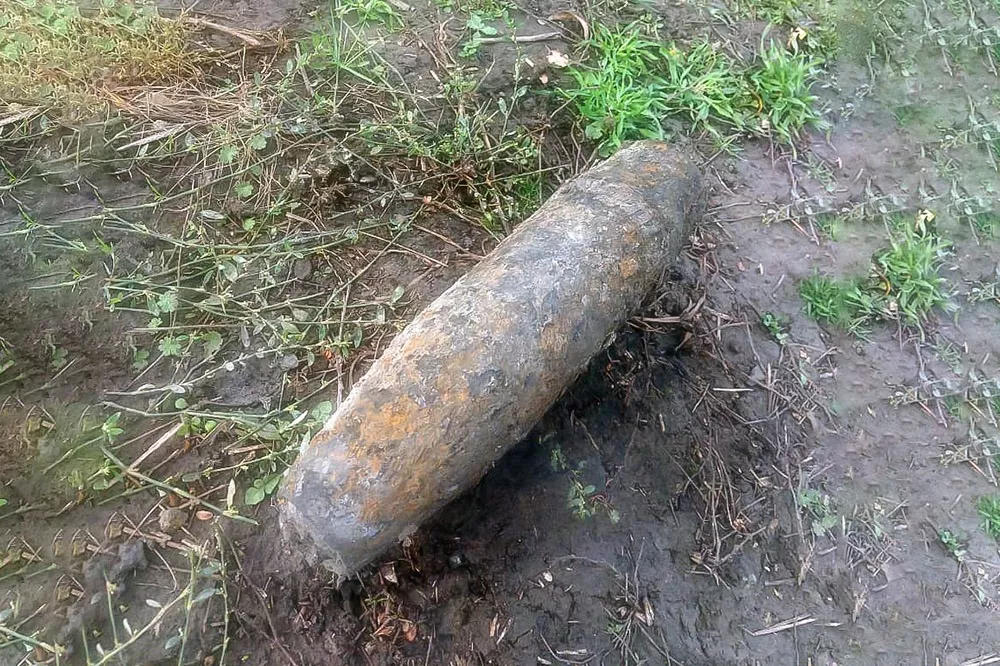 На Кубани грибники нашли в лесу боеприпасы времен Великой Отечественной