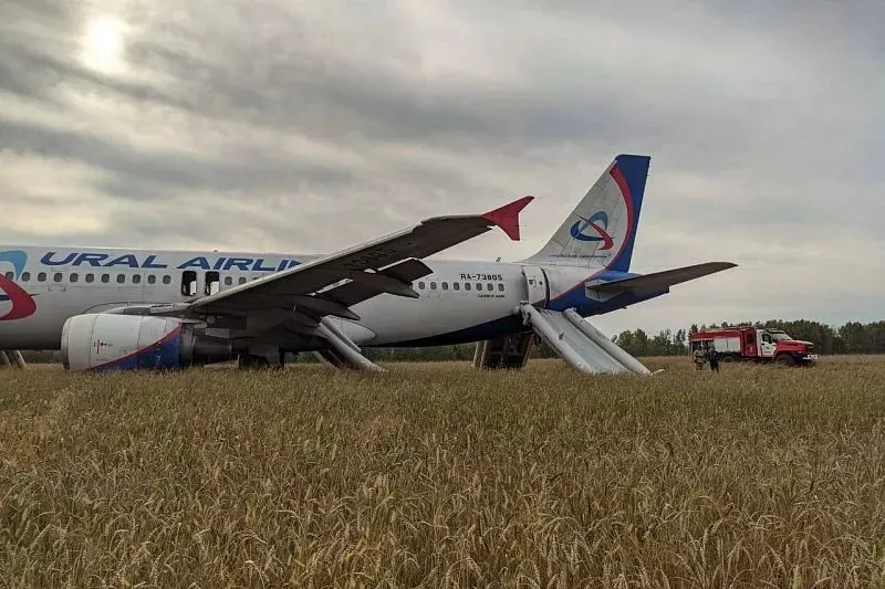 Бастрыкину доложат о расследовании дела о севшем в поле самолете рейса Сочи - Омск