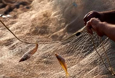 Двое жителей Ейского района получили по 2 года колонии за браконьерство