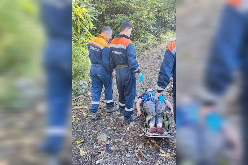 В Сочи женщина едва не умерла после укуса осы в лесу. 8 ноября 2023 г ...