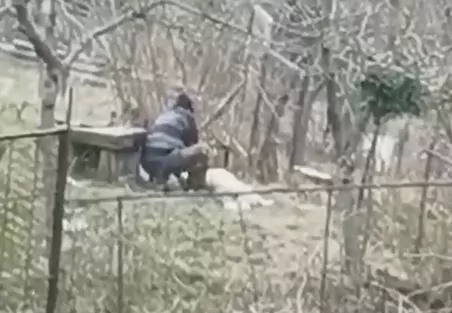 В Сочи возбудили дело против живодера, зарубившего топором собаку