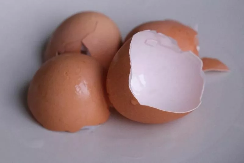 Как давать детям скорлупу яиц?