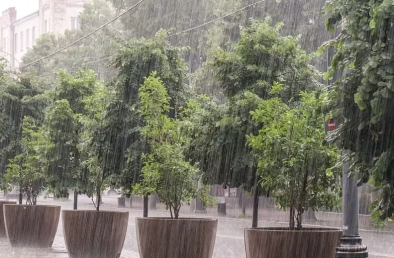На периферии циклона: грозовые дожди принесут в Краснодарский край долгожданную прохладу