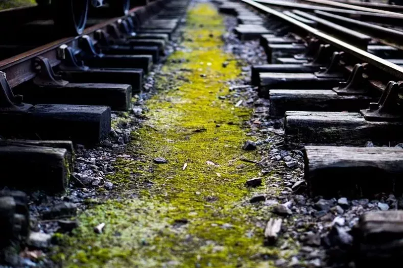 В Горячем Ключе под поезд угодил 92-летний пенсионер. Он погиб. 2 ...