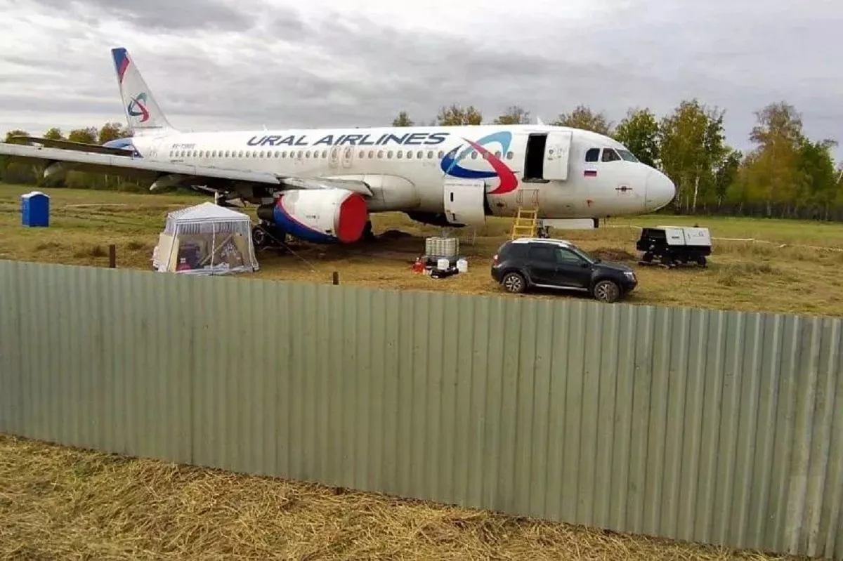 Посадивший в поле самолет рейса Сочи - Омск пилот уволился из авиакомпании.  17 апреля 2024 г. Кубанские новости