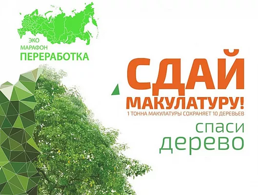 Сдай макулатуру спаси дерево фото