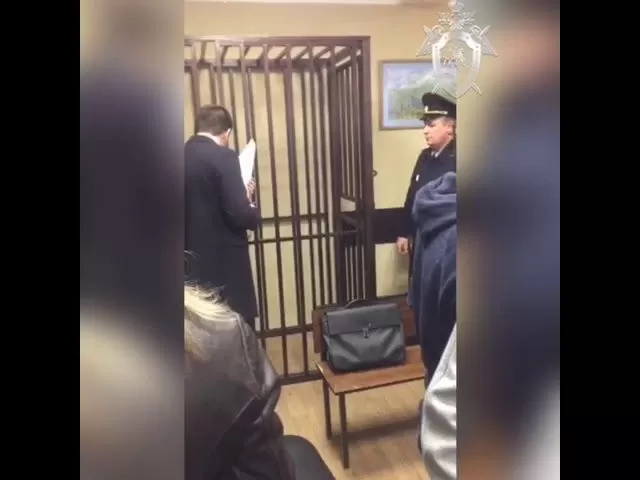 Алена Верди арестована в Краснодаре. Видео: СК России