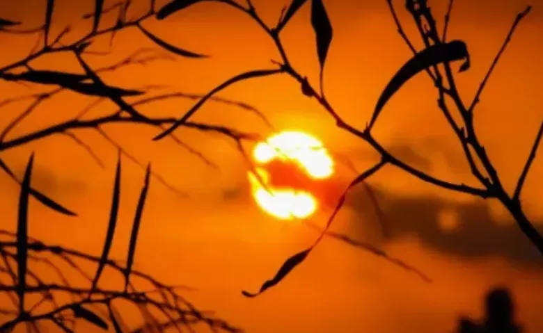 Пекло не отступит: российский климатолог предрек новые температурные ...